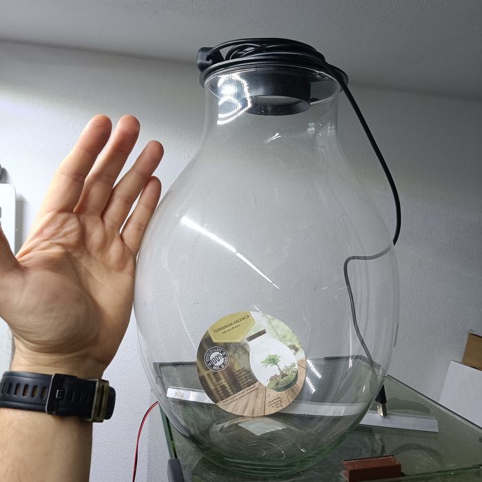 Wabikusa las w szkle projekt do budowy własnej aranżacji