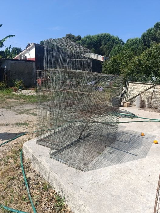 Gaiolas para despachar