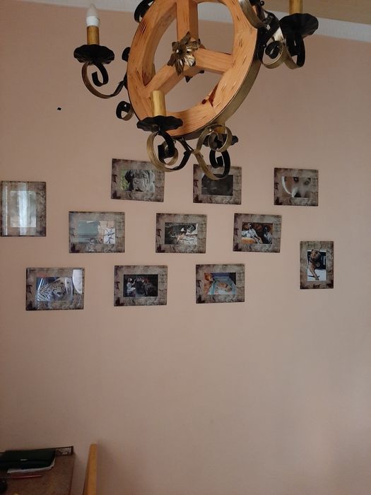 Шикарные фоторамки. Стекло.