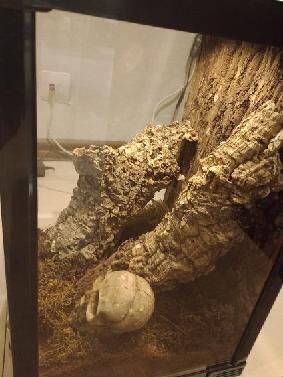 Terrarium szklane 30 x 30 x 45