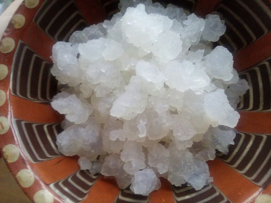 Морской (индийский) рис.