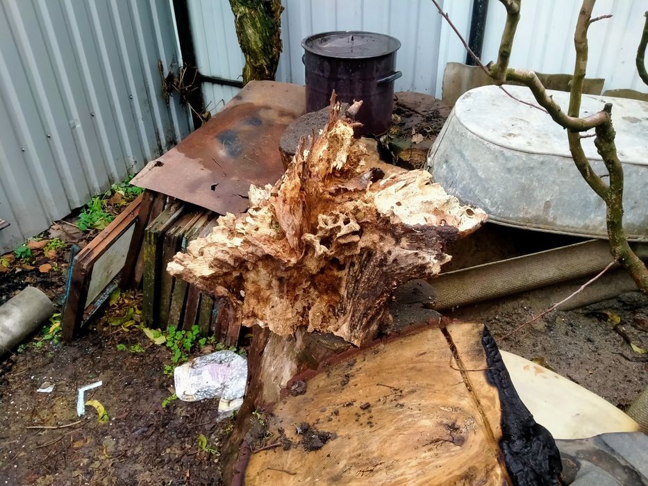 Заготовка в дерев -і акваріум