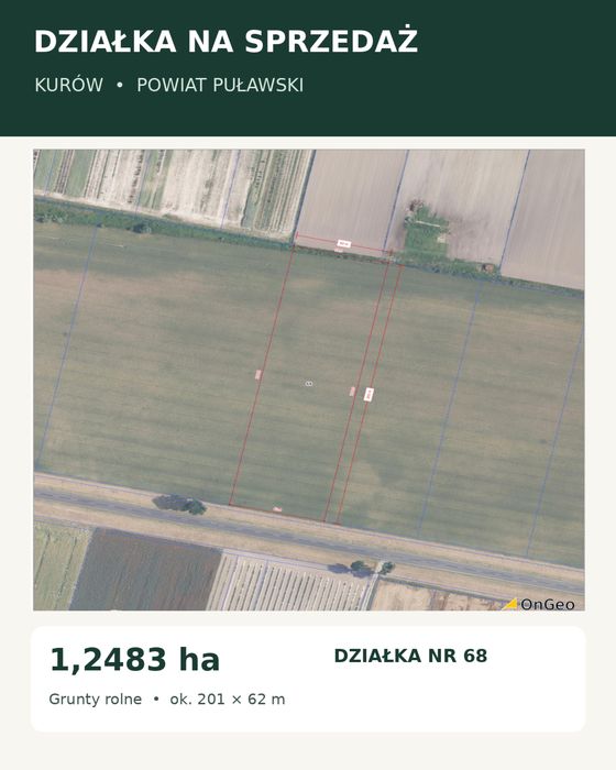 Na sprzedaż działka o powierzchni 1,25 ha – Kurów, powiat puławski