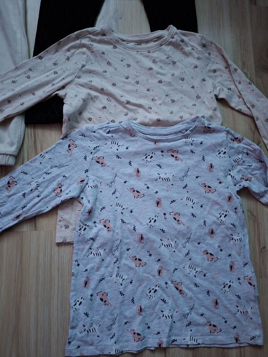 Spodnie + bluzki 140