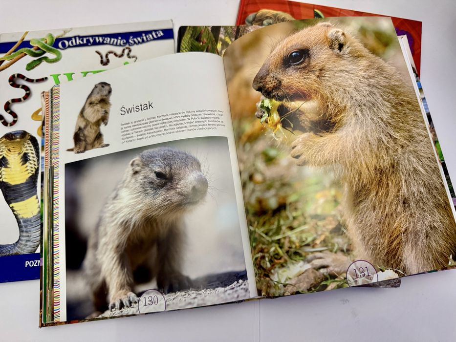 Książki o zwierzętach Albumy edukacyjne