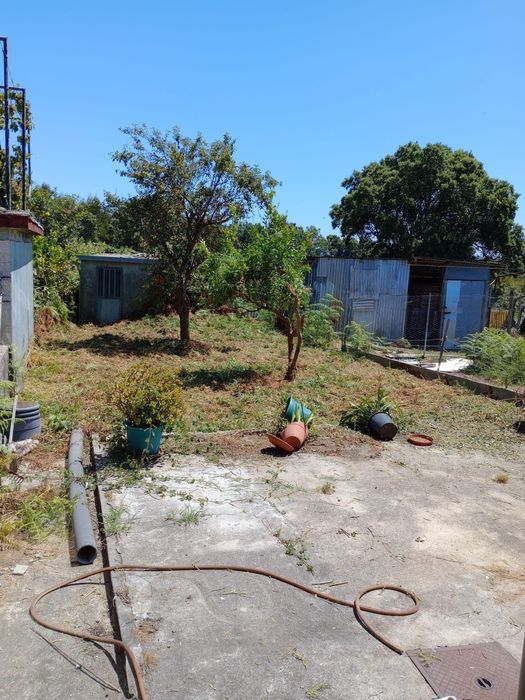 Serviços de Jardinagem