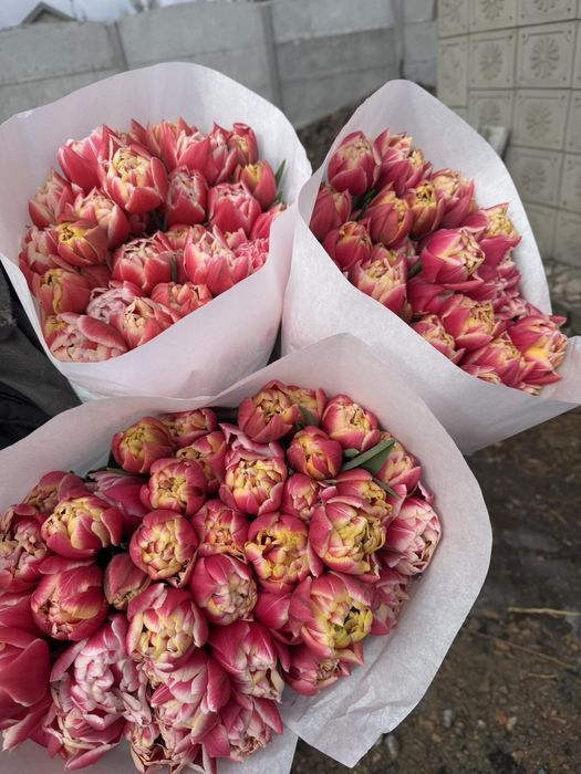 Тюльпани до 8 березня Опт Доставка