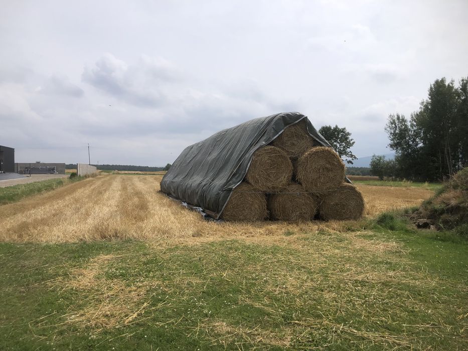 Słoma 120 z 2025r
