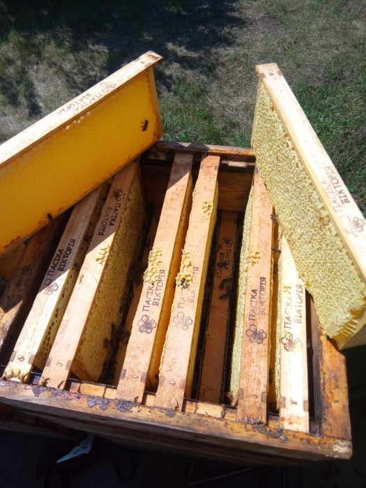 Продам стільниковий мед