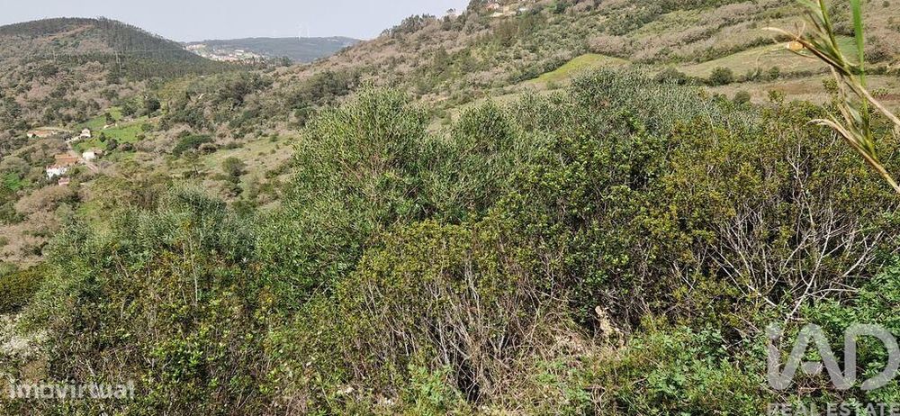 Terreno Agrícola em Mafra
