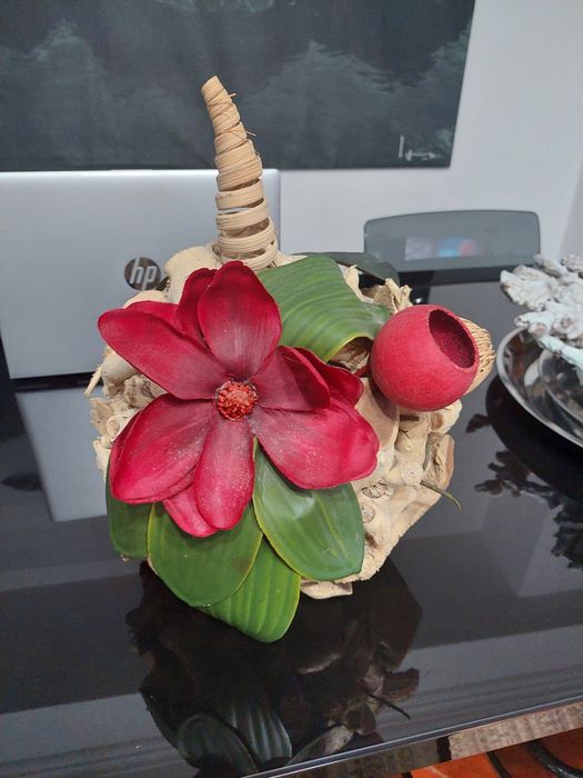 Arranjo e traça de troncos