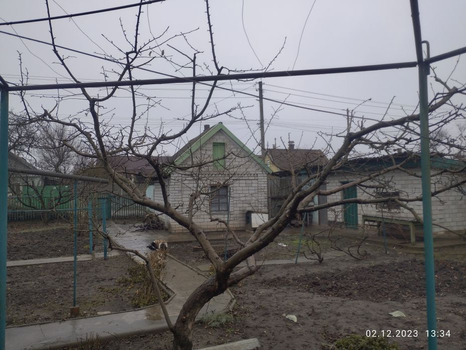 Обрізка дерев. Покіс трави, бурьяну. Стрижка газону. Стрижка кустів