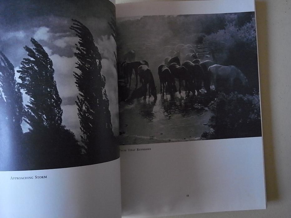 livro anuário fotografia americano 1951