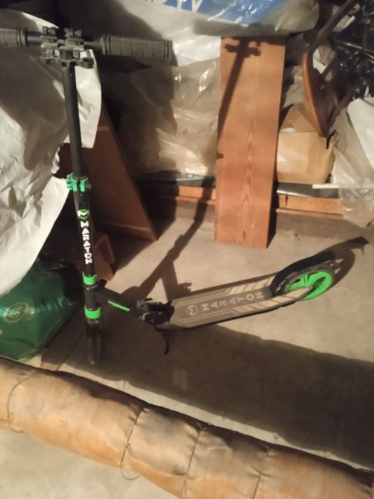 Самокат звичайний.