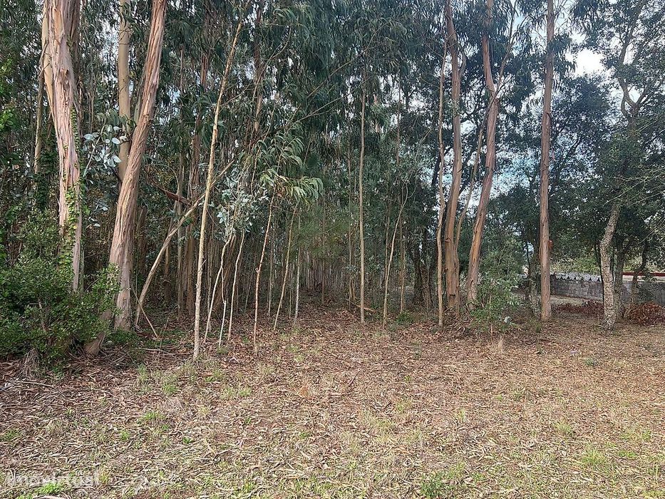 Terreno  para venda