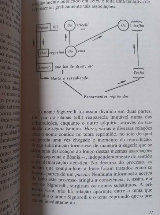 Psicopatologia da Vida Quotidiana - Sigmund Freud