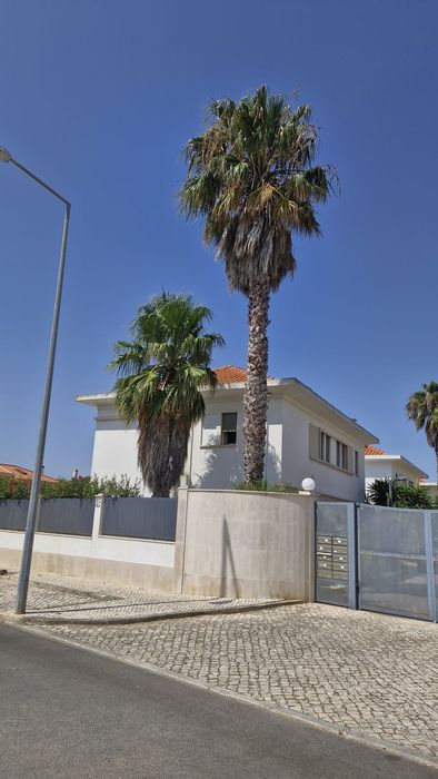 Limpeza de terrenos  e abates de árvores