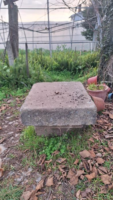 Pias de pedra antigas