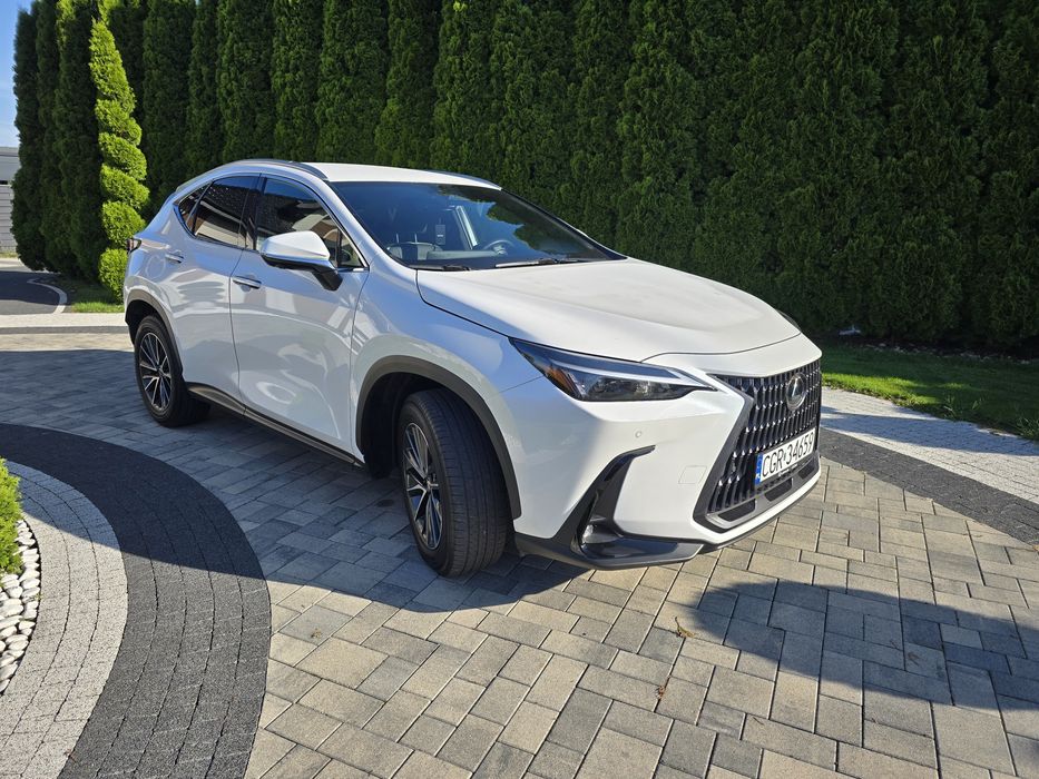 Auto do ślubu 2026,LEXUS BIALA PERŁA