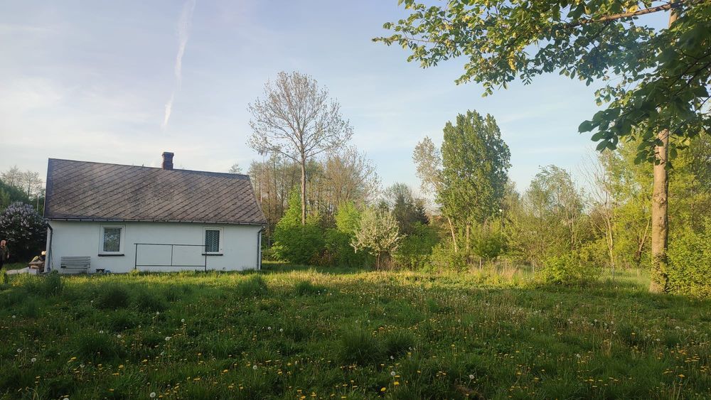 Siedlisko k. Puław