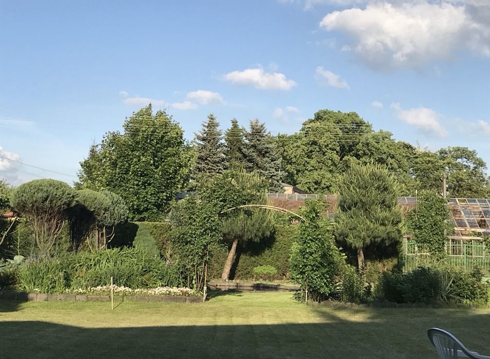 Działka z domem do wykończenia - View 2