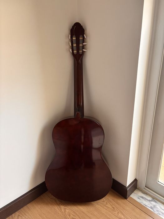 XP Guitars AG604P