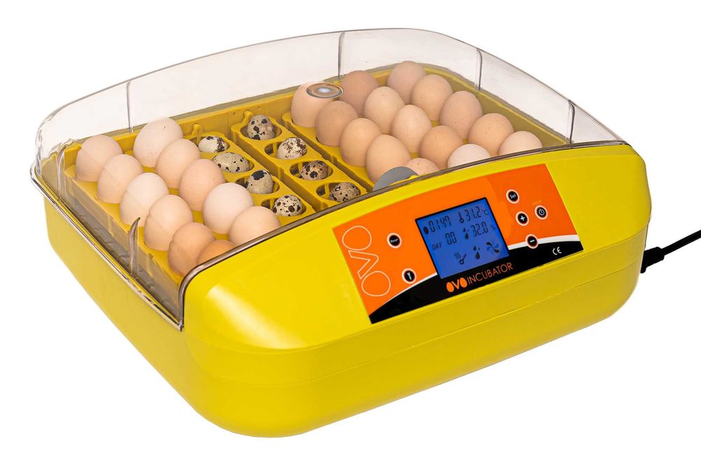 INKUBATOR OVO LĘGOWY FULL-Automat Automatyczny do JAJ 42 wylęgarnik
