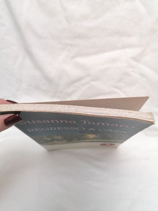 Livro "Regresso a Casa"