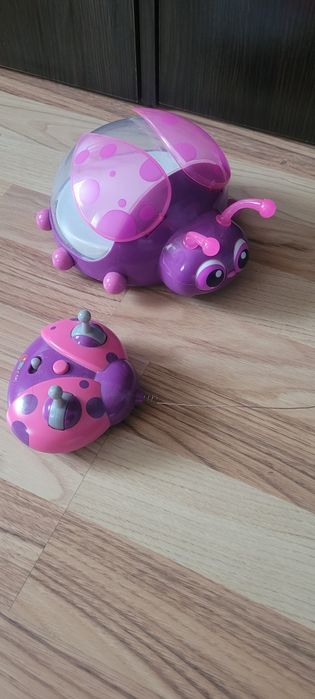 Божья коровка для орбизов