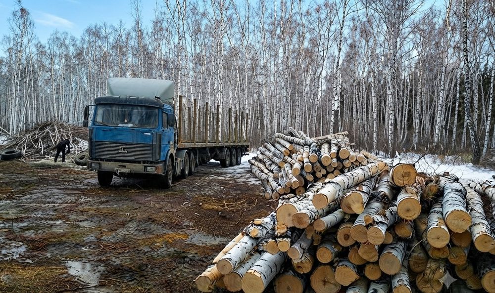 Дрова без посередників з доставкою. Оптом та в роздріб. Мінімальна ціна. Без передплат. 10/20/30 СК/м