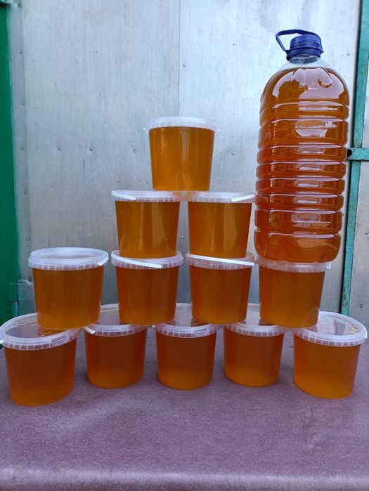 Продам МЕД Продам