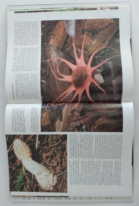 História Natural - 12 livros