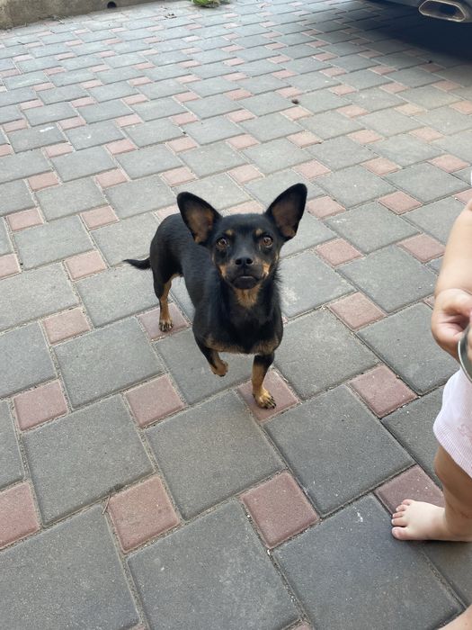 Выкинули в поле с детьми