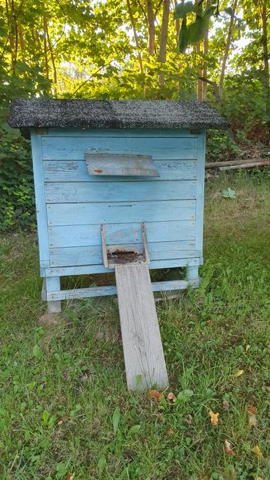 Sprzedam ule ul z pszczołami pszczoły pasieka