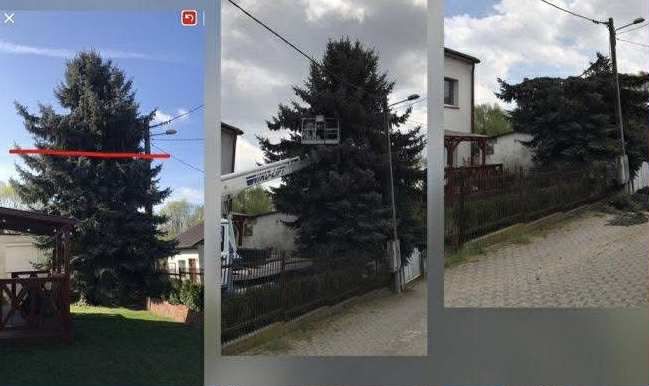 Usługi Ogrodnicze