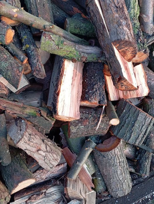 Drewno łupane liściaste