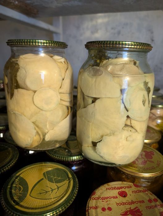 Продам мариновані голубінки та опеньки
