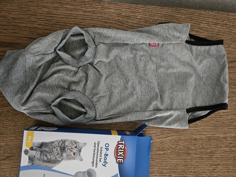 Body pós cirúrgico gato