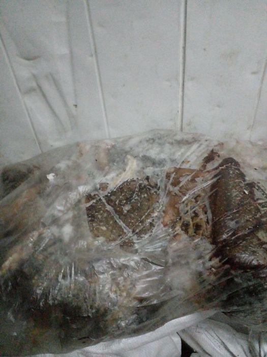 Продам яловичий рубець(шлунок), вимʼя, головізна