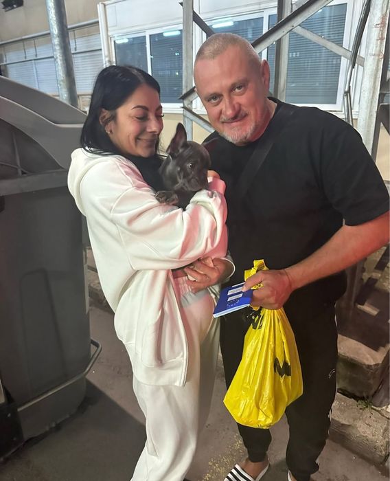 Доставка, перевезення тварин закордон. Перевозка животных в Европу.