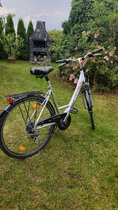 Rower Pegasus avanti