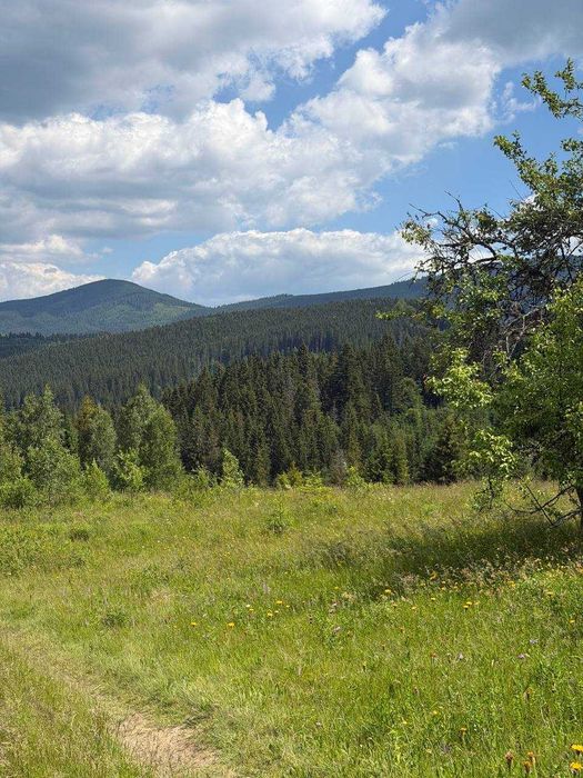 Продаж ділянки в горах