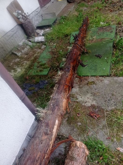 Drewno na zimę okazja