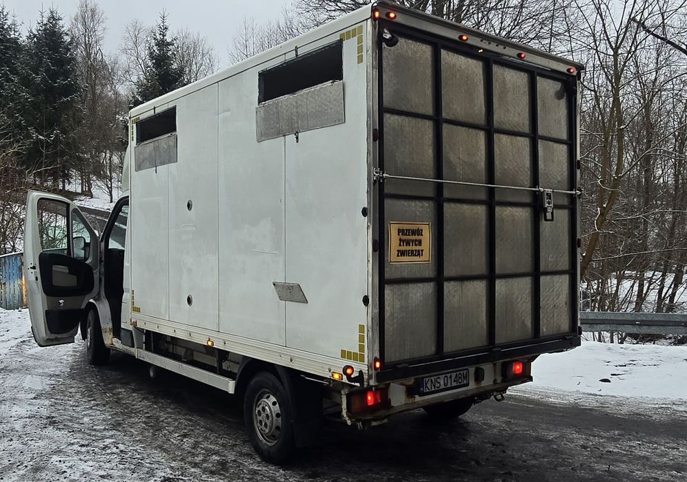 Citroen Jumper 2.2 do żywca