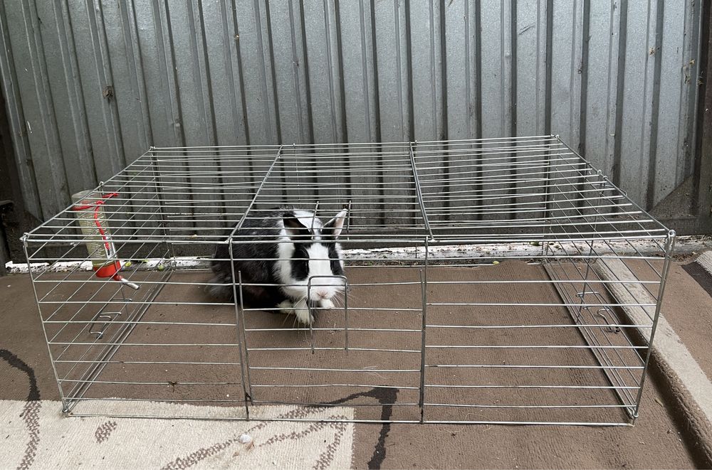 Klatka dla krolika