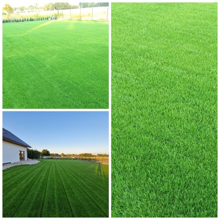 Trawa z rolki ! Trawnik z siewu ! Automatyczne nawadnianie ogrodów!