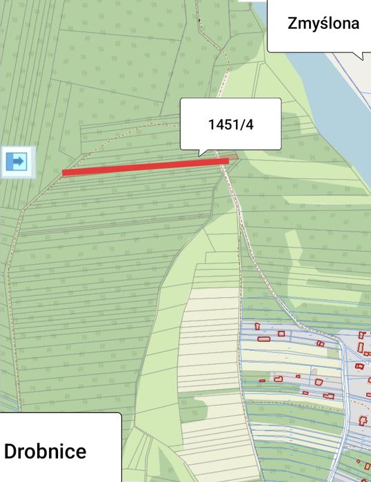 Sprzedam lasy w Drobnicach