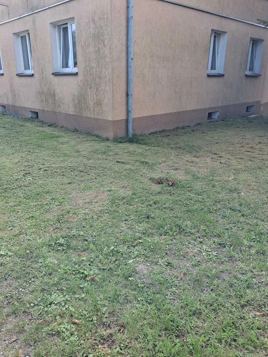 Mieszkanie – Słutowo - Widok 5