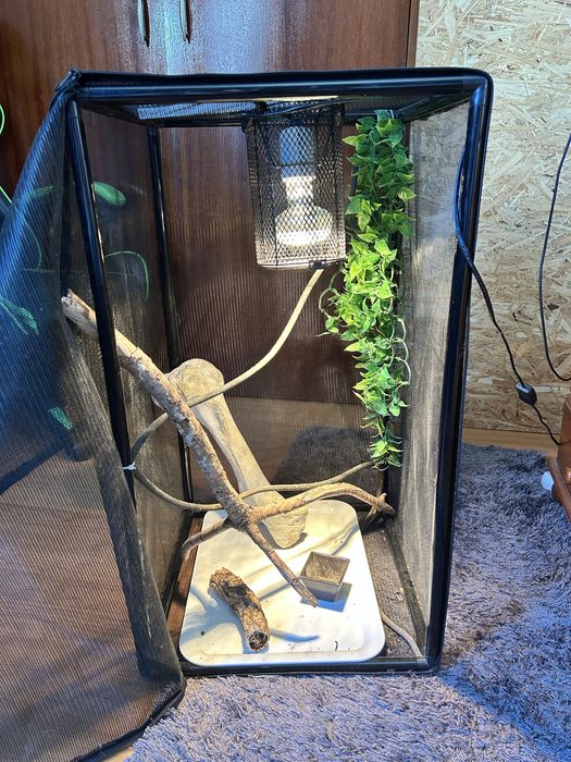 Terrário/gaiola  para Camaleão Completo (Iluminação + Acessórios) – 75€