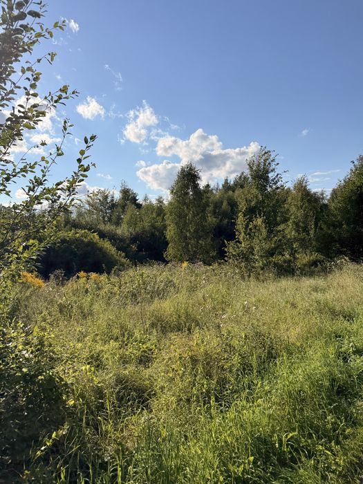 Działka budowlana 1 ha - Widok 2